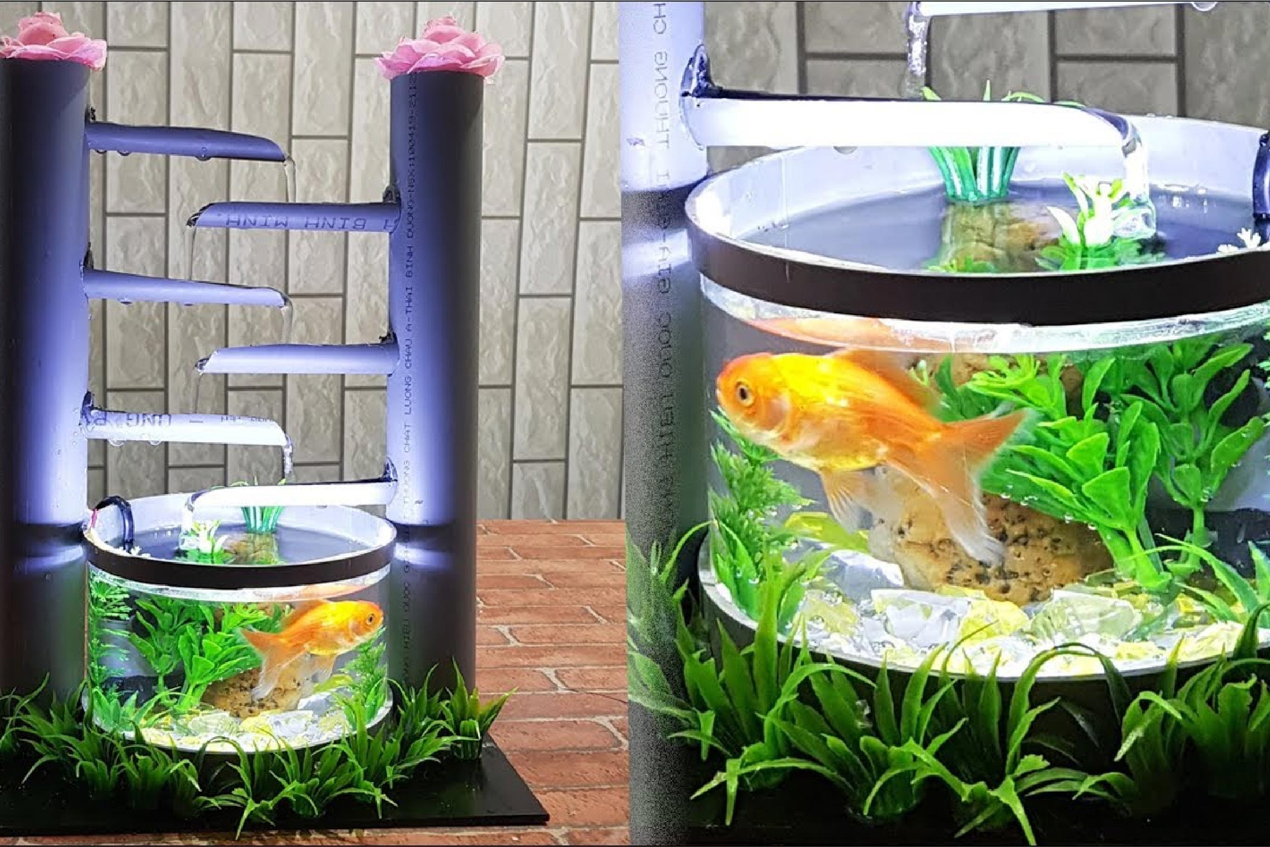 Bể cá bằng ống nhựa PVC